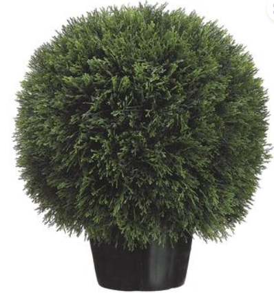 20"H Cedar Ball Topiary