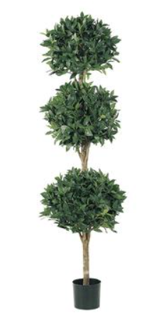 5ft Triple Ball Sweet Bay Topiary (Box of 2)
