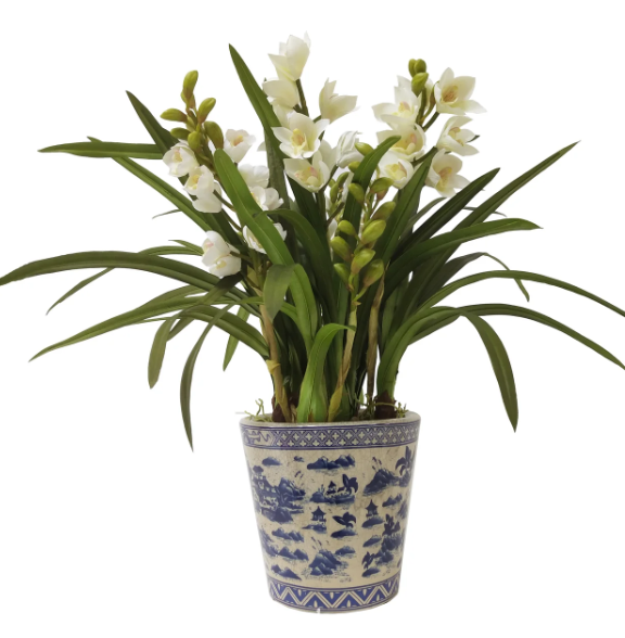 33"Hx33"Wx33"L Orchid Cymbidium Floral