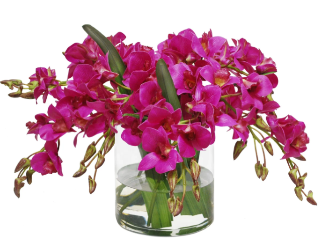 Dendrobium in Cylinder glass container